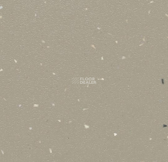 Forbo SureStep Star 176772 cement фото 1 | FLOORDEALER